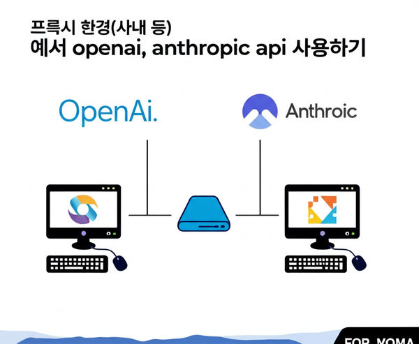 프록시 환경(사내 등) 에서 openai, anthropic api 사용하기